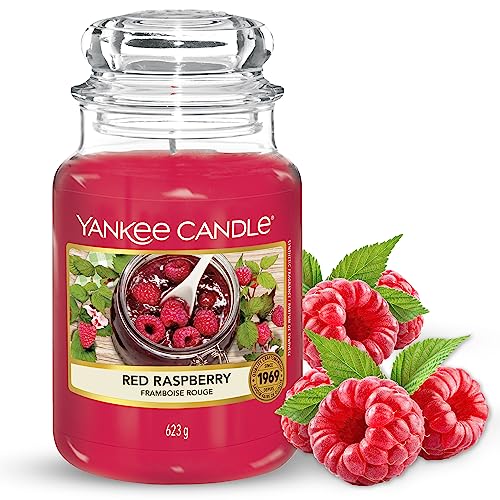 Yankee Candle Duftkerze im Glas (groß) | Red Raspberry | Brenndauer bis zu 150 Stunden von Yankee Candle