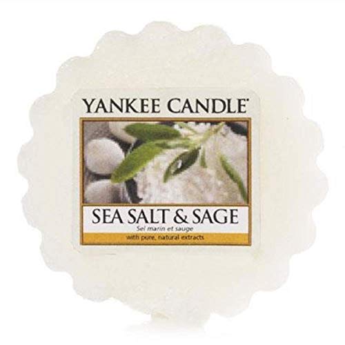 Yankee Candle Meer Salz und Salbei Duftwachstörtchen zu Schmelzen, wachs, Weiß, 5.7 x 5.7 x 1.7 cm von Yankee Candle