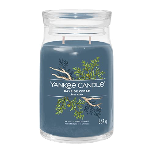 Yankee Candle Signature Duftkerze | große Kerze mit langer Brenndauer „Bayside Cedar“ | Soja-Wachs-Mix | Perfekte Geschenke für Frauen von Yankee Candle