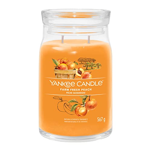 Yankee Candle Signature Duftkerze | große Kerze mit langer Brenndauer „Farm Fresh Peach“ | Soja-Wachs-Mix | Perfekte Geschenke für Frauen von Yankee Candle