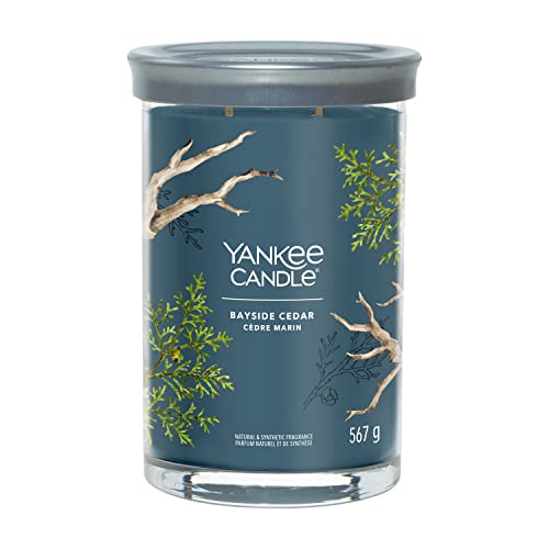 Yankee Candle Signature Duftkerze | große Tumbler-Kerze mit langer Brenndauer „Bayside Cedar“ | Soja-Wachs-Mix | Perfekte Geschenke für Frauen von Yankee Candle