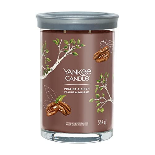 Yankee Candle Signature Duftkerze | große Tumbler-Kerze mit langer Brenndauer „Praline & Birch“ | Soja-Wachs-Mix | Perfekte Geschenke für Frauen von Yankee Candle