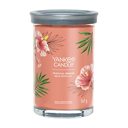 Yankee Candle Signature Duftkerze | große Tumbler-Kerze mit langer Brenndauer „Tropical Breeze“ | Soja-Wachs-Mix | Perfekte Geschenke für Frauen von Yankee Candle