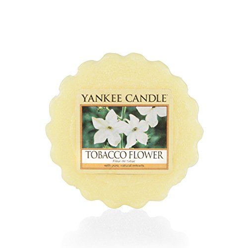 Yankee Candle Tarts Teelichter-Kerzen, Wax, Tobacco Flower, 8.4 x 6.1 x 1 cm, 9 von Yankee Candle