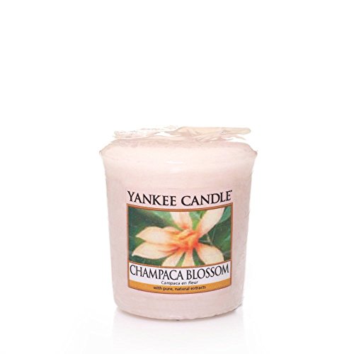 Yankee Candle Votivkerze CHAMPACA Blossom (NEU!), 49 g von Yankee Candle