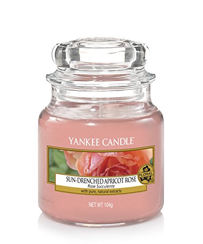 Yankee Candle Duftkerze im Glas (klein) | Sun-Drenched Apricot Rose | Brenndauer bis zu 30 Stunden von Yankee Candle