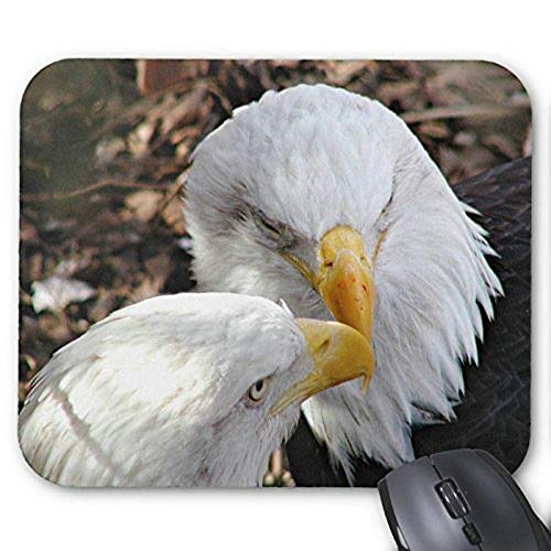 (Maus - Pads) Gaming Mouse pad MuMeat Adler Schnabel Haken Mousepad rechteckige Mousepad süß (Maus - Vogel - Mousepad von YENDOSTEEN