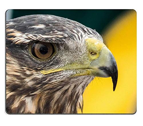 (Maus - Pads) - Mousepad Gaming Mouse pad Adler Adler Falco in TrasMOZ Zaragoza Aragon in Spanien Natur kautschuk PN00 X97 von YENDOSTEEN