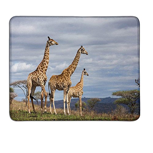 Yanteng (Maus - Pads) schlank - Mousepad afrikanischen Giraffen - Familie in Savana Wiesen auf die Skyline und sträucher Primtut-Deco Mouse pad Blau von Yanteng