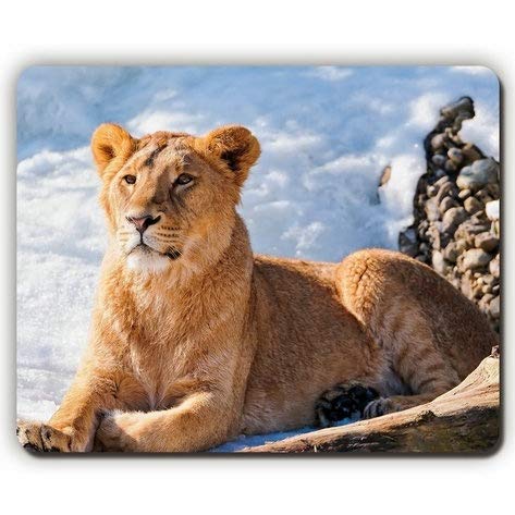 (dauerhafte präzise Gemeinsame Mousepad) Hohe Qualität der Große Löwe Mousepad, Schnee, Spiel - Büro - Mousepad von Yanteng