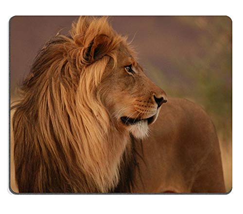 (dauerhafte präzise Gemeinsame Mousepad) naturkautschuk - Gaming - Maus MIT löwen - Namibia Afrika Mouse pad. von Yanteng