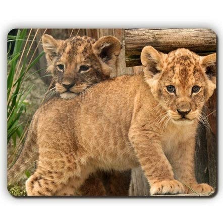 Yanteng (dauerhafte präzise Gemeinsame Mousepad) die Hohe Qualität Mouse pad, Cub, löwen, Spiel - Büro - Mousepad von Yanteng