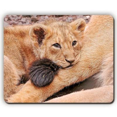 (dauerhafte präzise Gemeinsame Mousepad) die Hohe Qualität Mousepad, löwen Cub lag in der trauer, Spiel - Büro - Mousepad von Yanteng