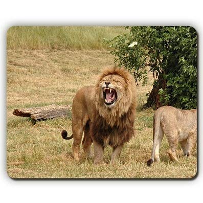 (dauerhafte präzise Gemeinsame Mousepad) die Hohe Qualität Mousepad, löwen löwen auf Aggression Holz, Jagd, Spiel - Büro - Mousepad von YENDOSTEEN