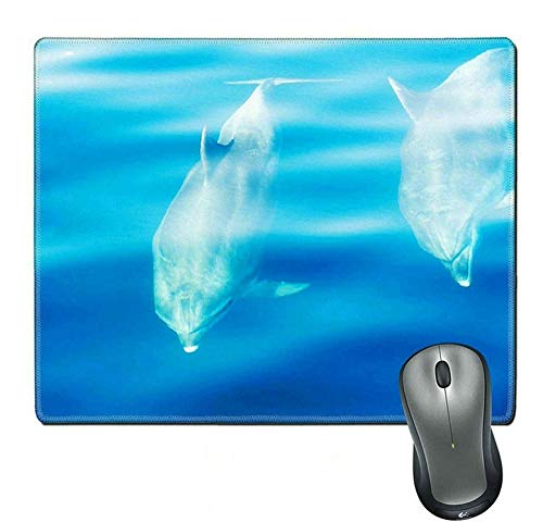 Yanteng Die herstellung von natürlichen Mousepad/Kissen, am rande der Schwimmer im Sommer naht; Adriatic Yacht - Urlaub von Yanteng