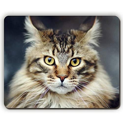 Die Hohe Qualität der Gaming Mouse pad Mousepad, die Katze MIT Fell Streifen, Spiel - Büro - Mousepad von Yanteng