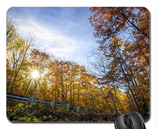 Feine und dauerhafte Gemeinsame Kanten Gaming Mouse pad, der im Herbst auf dem Mousepad forststraße, mousepads (Forest Mouse pad) von Yanteng