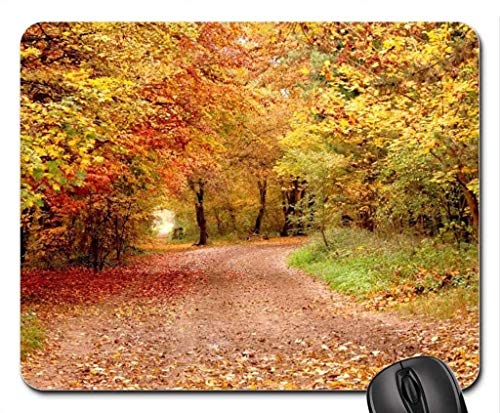 Fine dauerhafte Gemeinsame Kanten Gaming Mouse pad, Herbst straßen - Mousepad, Maus - Pads (Forest Mouse pad) von Yanteng