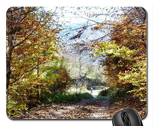 Fine dauerhafte Gemeinsame Kanten Gaming Mouse pad, Herbst straßen - Mousepad, Maus - Pads (Forest Mouse pad) von Yanteng