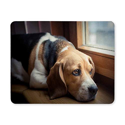 Yanteng Gaming Mouse pad, Maus - Pads traurig Hund auf der fensterbank - Computer - Maus. von Yanteng