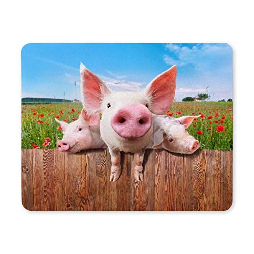 Yanteng Gaming Mouse pad, Maus - Pads auf dem Hof Zaun Gaming Mouse pad - Computer Schwein zu sehen von Yanteng