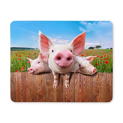 Gaming Mouse pad, Maus - Pads auf dem Hof Zaun Gaming Mouse pad - Computer Schwein zu sehen Gaming Mouse pad, Maus - Pads auf dem Hof Zaun Gaming Mouse pad - Computer Schwein zu sehen von YENDOSTEEN
