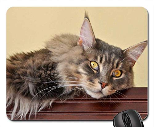 Gaming Mouse pad die Katze Maus - Pads, Maus - Pads (Katze Maus - Pads) 007 von Yanteng