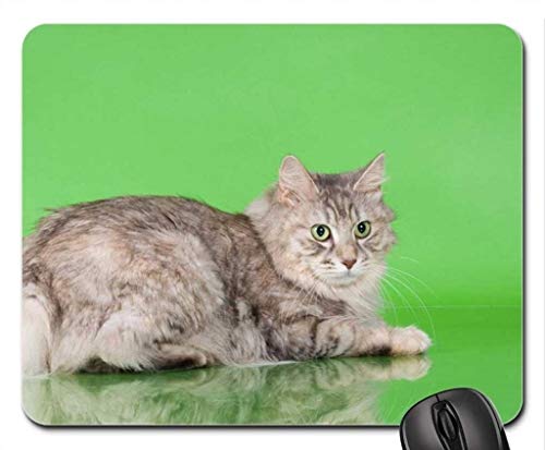 Gaming Mouse pad die Katze Maus - Pads, Maus - Pads (Katze Maus - Pads) von Yanteng