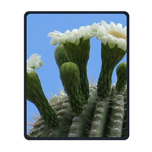 Yanteng Genäht und dauerhaften Kaktus in den Himmel individuell Bedruckte mousepads wasserdichte mousepads MIT rutschfesten Gummi - Basis in der Forschung Spielen Männer und Frauen im Büro Mousepad von YENDOSTEEN