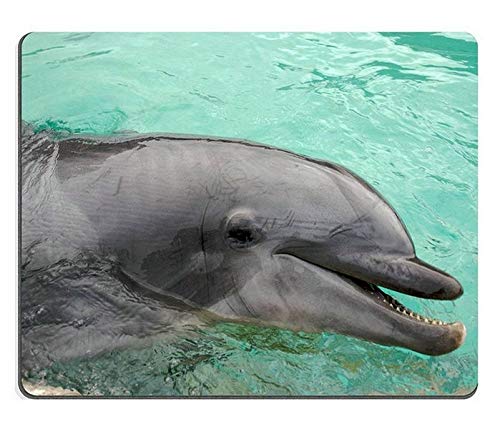 Hintergrund der Yanteng im Wasser die Mousepad naturkautschuk - Mousepad von YENDOSTEEN