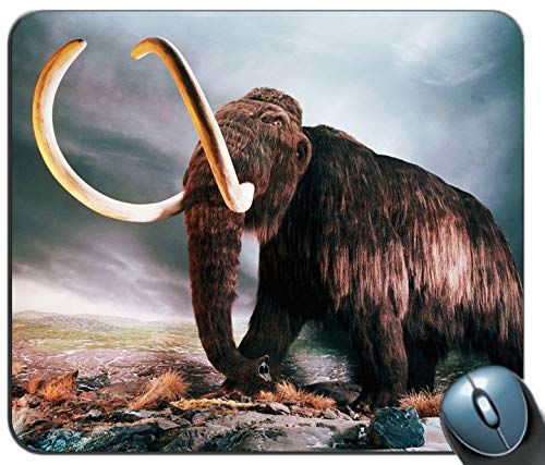Yanteng Individuelle rechteckige Mouse pad Wolle Mammut - Anti - rutsch - Komfort, maßgeschneiderte Computer - Maus - Pads Mousepad - Mousepad von YENDOSTEEN