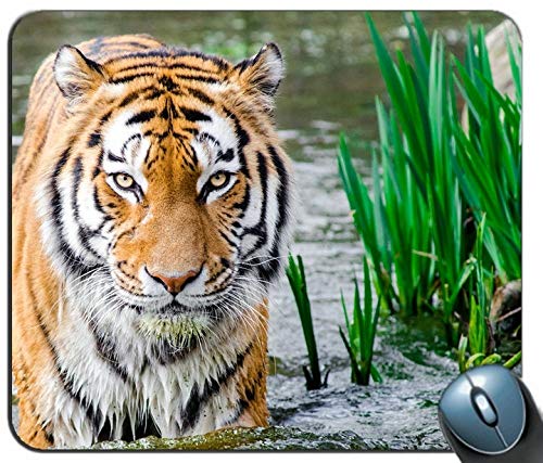 Individuelle rechteckige Mousepad Tiger Wasser - ausdrucken - Anti - rutsch - Komfort maßgeschneiderte Computer - Maus - Pads Mousepad - Mousepad von YENDOSTEEN