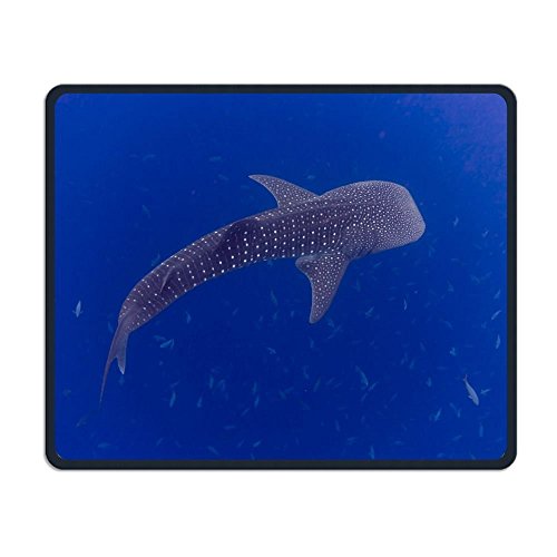 Mousepad Baby - Marine walhaie Büro rechteckige Anti - rutsch - Mousepad cool Gaming Mouse pad Notebook - Display Computer - Tastatur von Yanteng