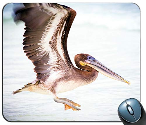 Pelikan, wasservögel rechteckigen Mousepad individuelle, maßgeschneiderte Computer - Maus - Anti - rutsch - Komfort Mousepad Mouse pad. von YENDOSTEEN