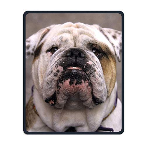Präzise nähte und dauerhafte und Integrierte Bulldogge Design - Mousepad wasserdichte Mouse pad - Basis Forschung Spielen für Büro - Mousepad von YENDOSTEEN