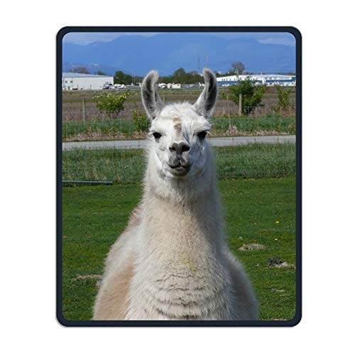 Präzise naht und dauerhaften Kamel - einzigartiges Design Mousepad Forschung Spielen, wasserdichte Büro Mousepad Anti - rutsch - Mousepad von YENDOSTEEN