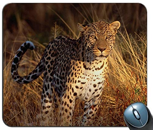 Yanteng Starke konzentration der Leopard - individuelle rechteckige Mousepad, Print - Anti - rutsch - Komfort maßgeschneiderte Computer - Maus - Pads Mousepad - Mousepad von Yanteng