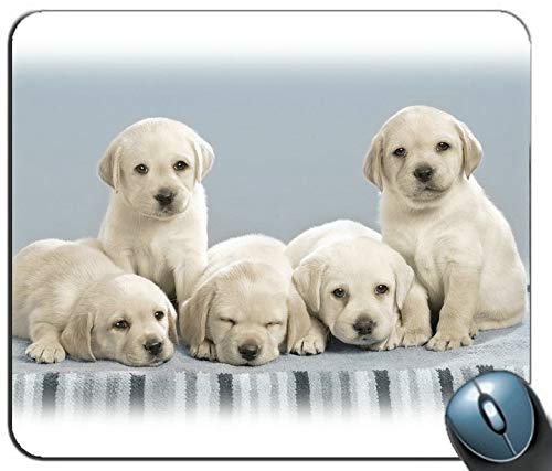 Yanteng Süßer Hund personalisierte rechteckige Mousepad, Druck - Skid - Komfort maßgeschneiderte Computer - Maus - Pads Mousepad - Mousepad von YENDOSTEEN