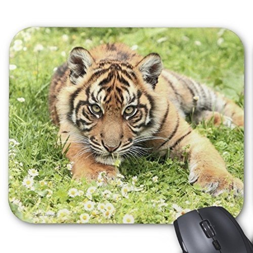 YENDOSTEEN Yanteng, DASS Lynx auf Blumen Mousepad personalisierte Mousepad Tiger Mousepad Anti - rutsch - Mousepad von YENDOSTEEN