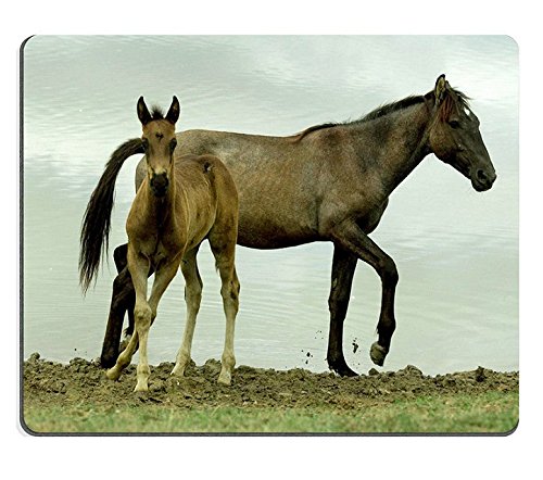 Yanteng Herstellung Mousepad Gaming Mouse Pad ma Weiden PN00 x 37 98 von OEM