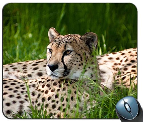 Yanteng Der Gepard Zwei monitore personalisierte rechteckige Mousepad, Druck - Skid - Komfort maßgeschneiderte Computer - Maus - Pads Mousepad - Mousepad von YENDOSTEEN