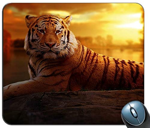 Yanteng Der Tiger Persönlichkeit rechteckige Mousepad, Print - Skid - Komfort maßgeschneiderte Computer - Maus - Pads Mousepad - Mousepad von YENDOSTEEN