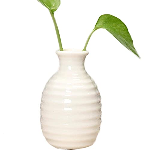 YanYan Ceramic Small Vase Desktop Flower Vase Modern Minimalist Dried Flowers Handmade Vase Hydroponic Plant Container for Floral Bedroom Decoration (White) von Yanyan