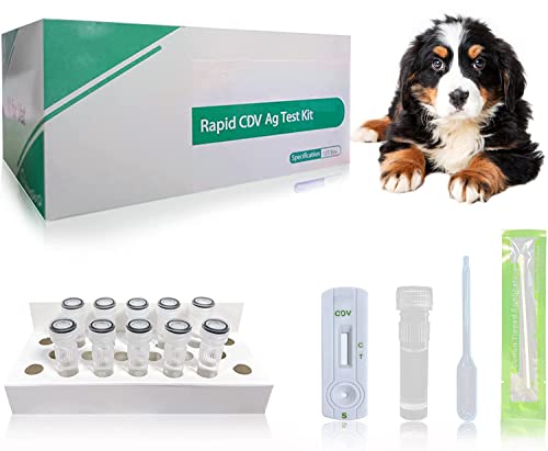 Yanzeo 10 Tests Canine CDV Ag Schnelltest-Kit für Hunde, Schneller Test von Hundemist für Heimdiagnosetools im Hundetierkrankenhaus von Yanzeo