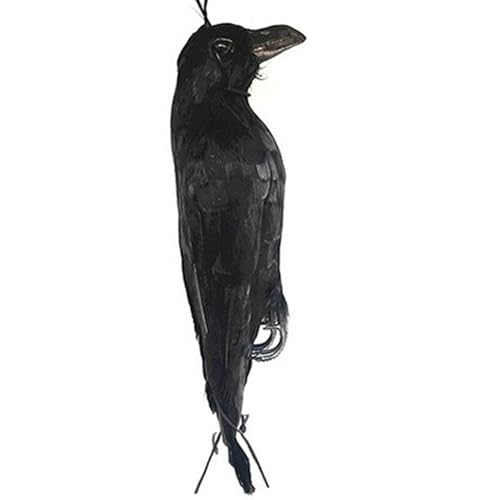 Crow Decor, 17 Zoll realistischer schwarzer Vogel, Hängen von Schreckenskrähen für Garten, Wiederverwendbare Halloween -Dekorationen für Innenräume, Außenwerbung im Freien Crow Decor, 17 Zoll realistischer schwarzer Vogel, Hängen von Schreckenskrähen für Garten, Wiederverwendbare Halloween -Dekorationen für Innenräume, Außenwerbung im Freien von Yaoliucp