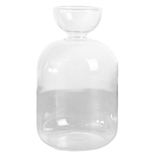 Yaoliucp Avocado -Samen Starter Vase 3.4x5.4 Glas Avocado -Vase für Glühbirnen, die minimalistische Klare Knospenvasen anbauen von Yaoliucp