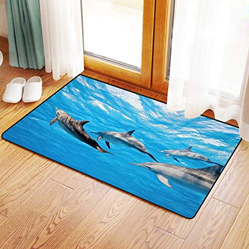 Yaoni Rutschfester Badvorleger, Delphin, Unterwasserfotografie von Delfinen glücklich Schwimmen Ozean Animal Life Image,Mikrofaser Duschvorleger Teppich für Badezimmer Küche Wohnzimmer 60x100 cm von Yaoni