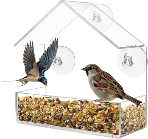 Vogelhaus Fensterscheibe Transparenter. Futterhaus Für Vögel Mit 3 Saugnäpfen Für Das Fenster. Vogelhaus Für Draußen, Entwickelt Um Wildvögel Anzulocken. Wetterfest Und Einfach Zu Montieren. von Yaqor
