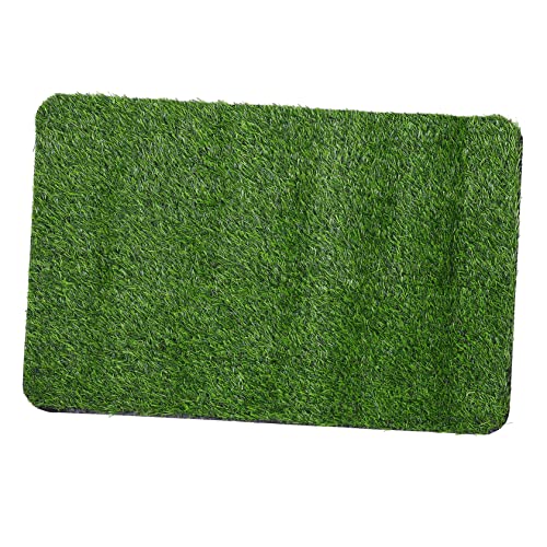 Yardenfun 1 Stück Künstlicher Türmatte rutschfeste Eingangsmatte für Badezimmer Wasserabsorbierend Schmutzfang Hochwertige Fußmatte für Innenräume Waschbar und Langlebig Yardenfun 1 Stück Künstlicher Türmatte rutschfeste Eingangsmatte für Badezimmer Wasserabsorbierend Schmutzfang Hochwertige Fußmatte für Innenräume Waschbar und Langlebig von Yardenfun