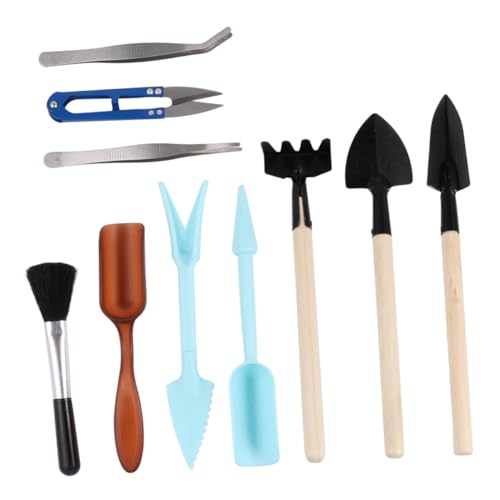Yardenfun 10 Stück Teiliges Set Kleine Gartenwerkzeuge Langlebige Metall und Kunststoffschaufeln für Pflanzen von Sukkulenten und Blumen im Garten Blau von Yardenfun